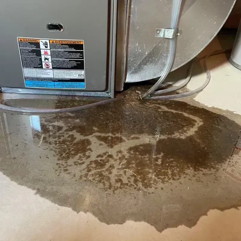 Appliance Leak Cleanup in Cochise County, AZ